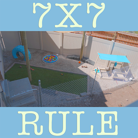 7 by 7 rule