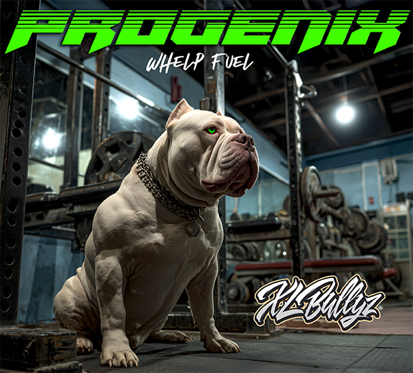 homemade dog food for pregnant dogs