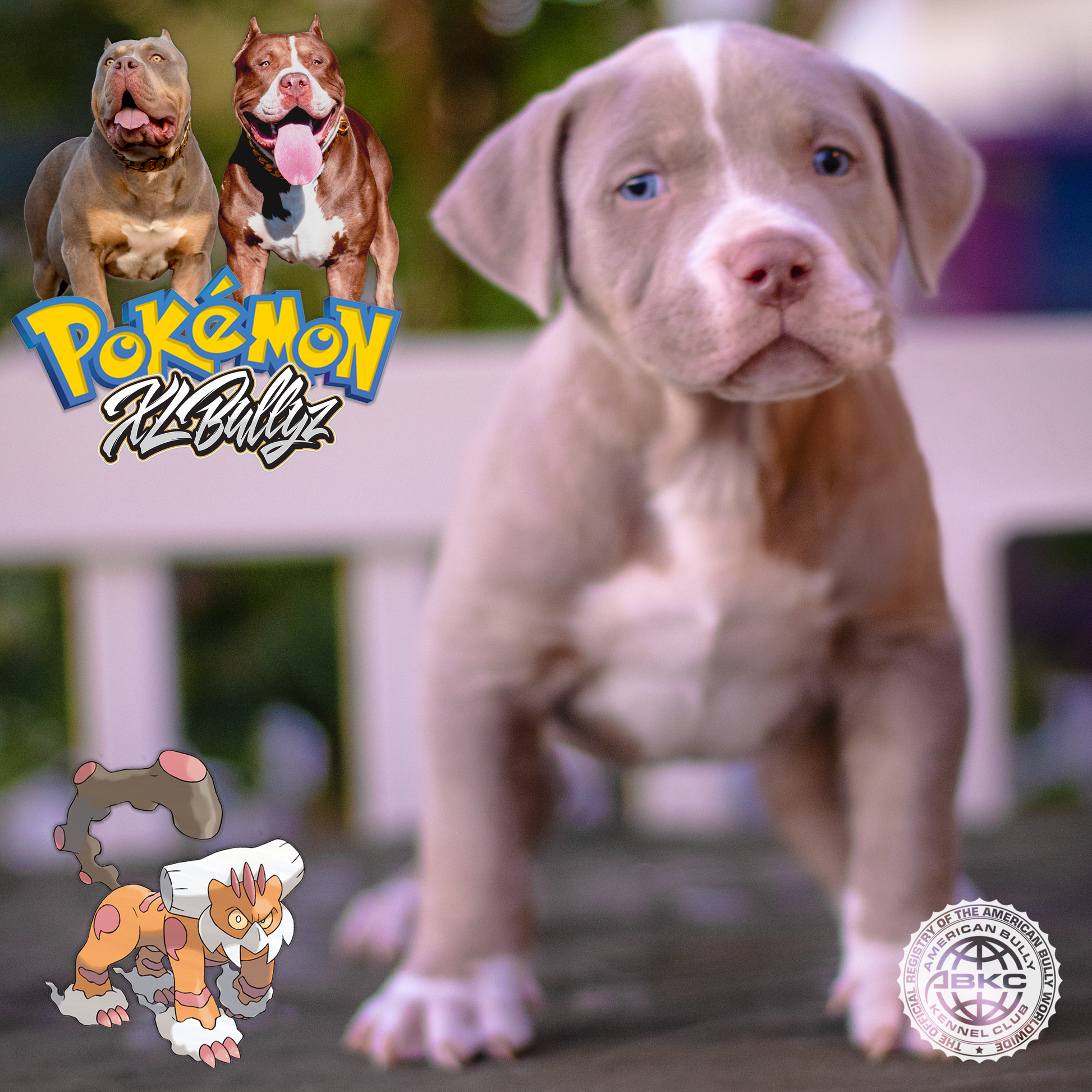 XL Bully puppy Landorus — masked lilac tricolor male, rare coat with strong frame, son of Xena and Monster Bully Kennel Apollo